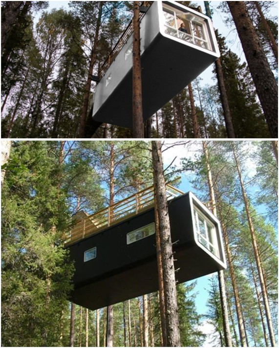 Tree Hotel