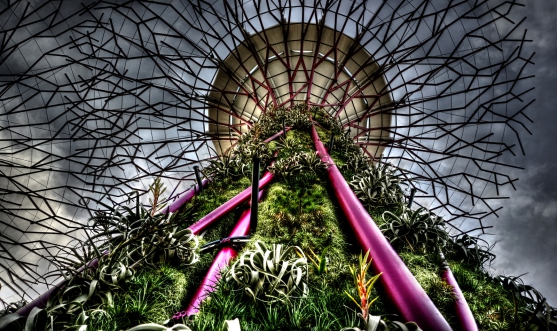 Jardins Futuristas de Cingapura