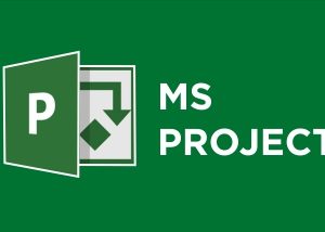 carimbo do curso de ms project rj