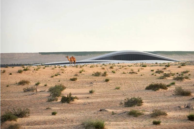 arquitetura-zaha-hadid-architects-emirados-arabes-instituto-bramante-8