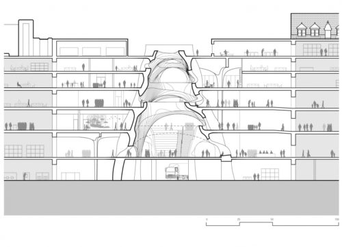 gilder-center-new-york-museum-architecture-section-diagram-instituto-bramante
